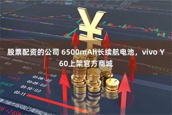 股票配资的公司 6500mAh长续航电池，vivo Y60上架官方商城
